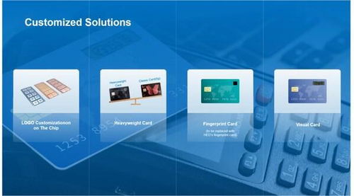 华大电子重磅亮相Seamless 2025，用芯助力数字安全新时代技术服务